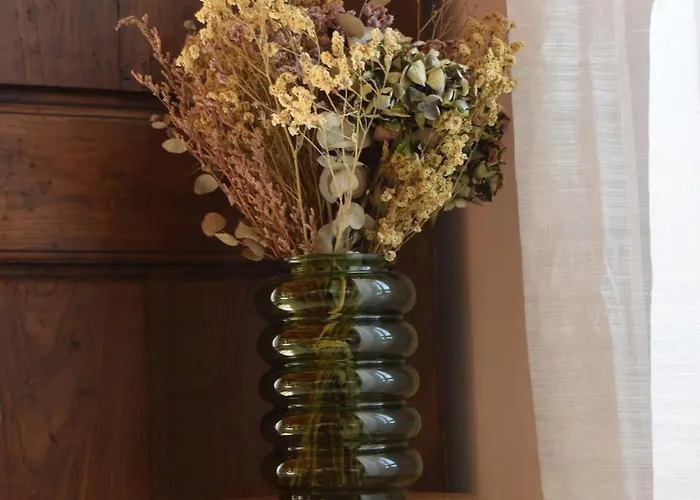 Grand En Aveyron, 10 Couchages 3 Etoiles Linge En Option * Drulhe